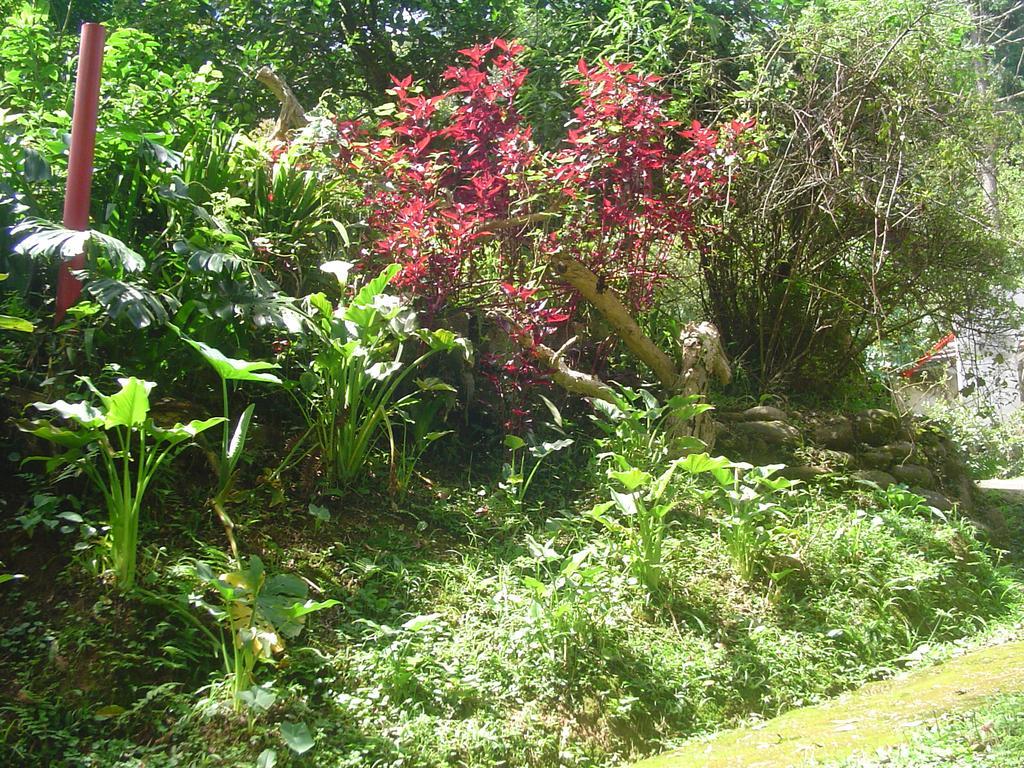 Casa Dell Angelo Apartamentos Visconde De Maua Eksteriør billede